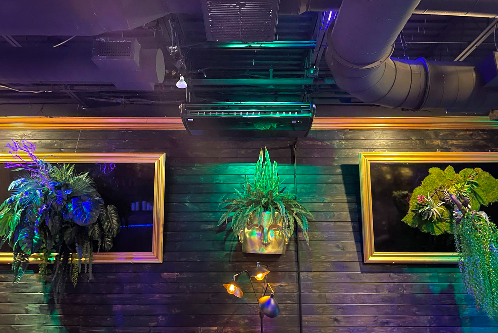 Lique Installation-5
